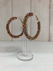 Rainbow Luxe Crystal Hoop Oorbellen