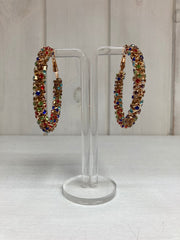 Rainbow Luxe Crystal Hoop Oorbellen