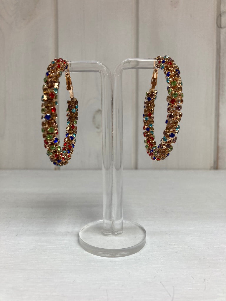 Rainbow Luxe Crystal Hoop Oorbellen