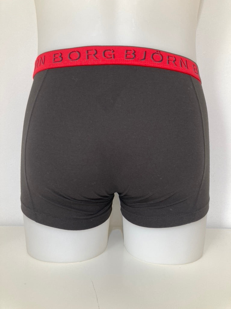 Boxer groom