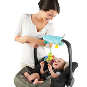 Taggies Carrie’s Cushion Munt 0+ – Babyspeelgoed Outlet