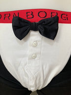 Boxer groom