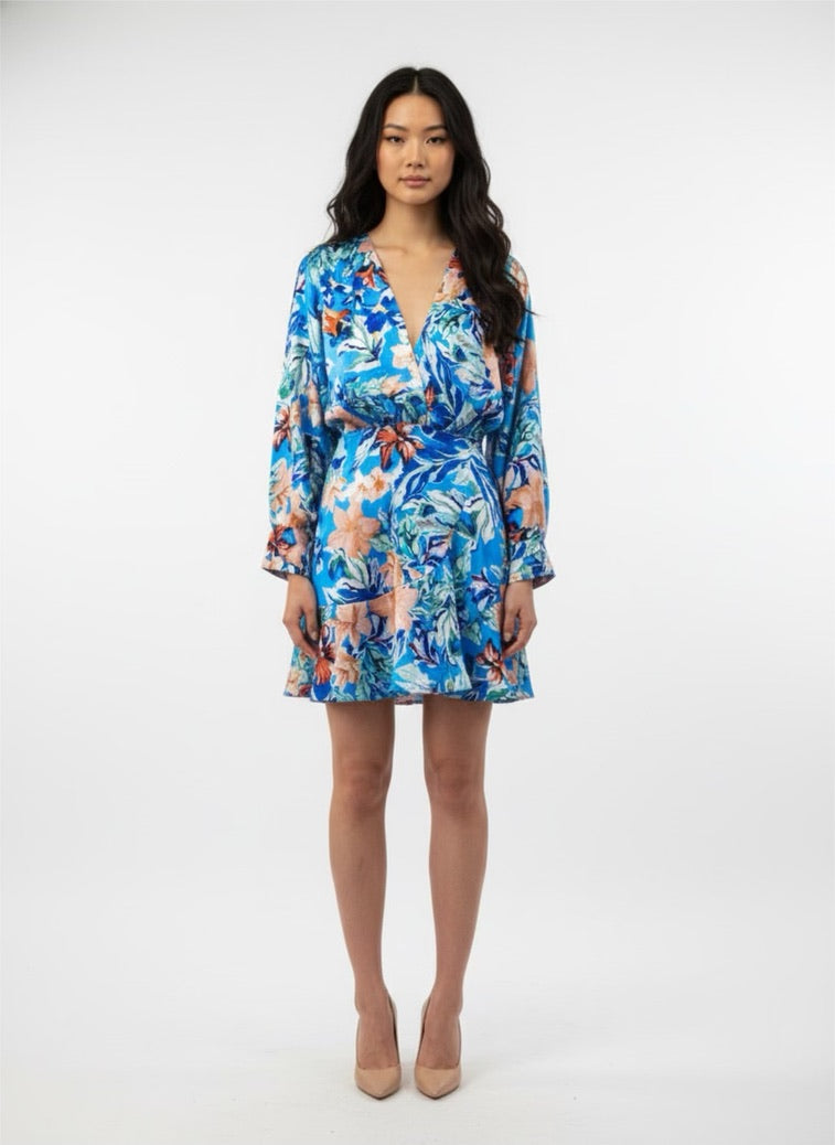 Jurk Basina Blauw