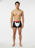 Boxer groom