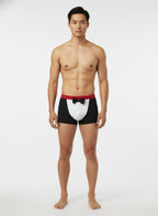 Boxer groom